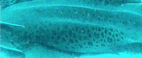 87e0145b-6655-4974-b286-52bb811c6610