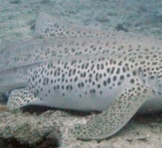 5e65d282-e278-4f01-b92d-cc02cafc589d