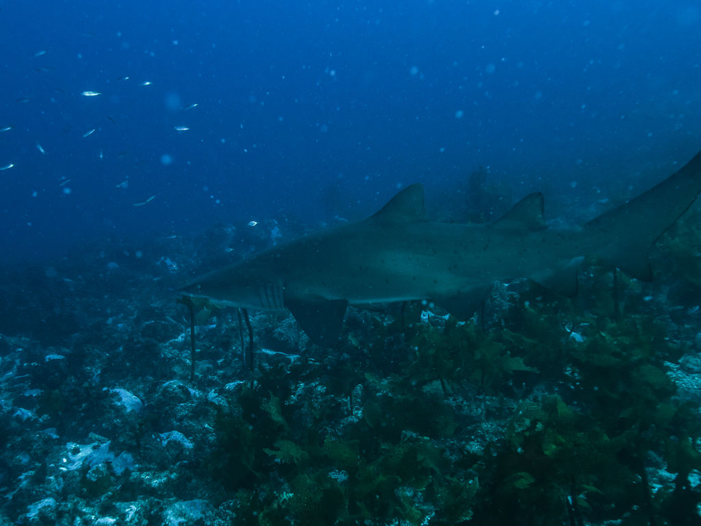 41ca4ab8-542e-448c-b390-58a43e83166c