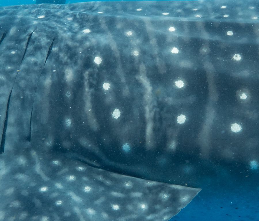 0c9bffed-dd23-4189-8ba2-efc5dde31112