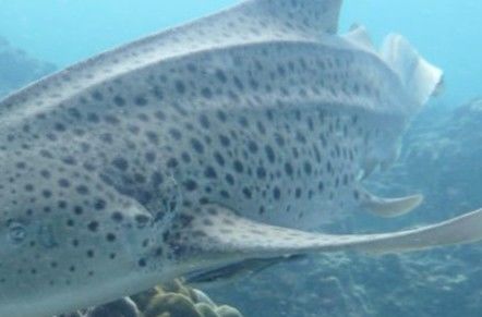 a82da906-0da4-4b78-949b-eb5895d88edd