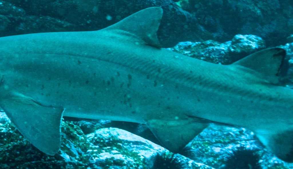 f54c5efc-4d49-4815-b860-4c74f96bf8e5