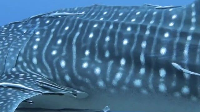 ecf0906f-cdb6-489c-9cca-233e093a7433