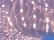 155b312d-0c8e-41c8-951d-6af5794caf11