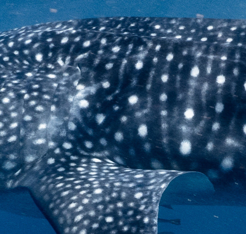 51260148-7919-49e4-96e7-ae35dabc2b25