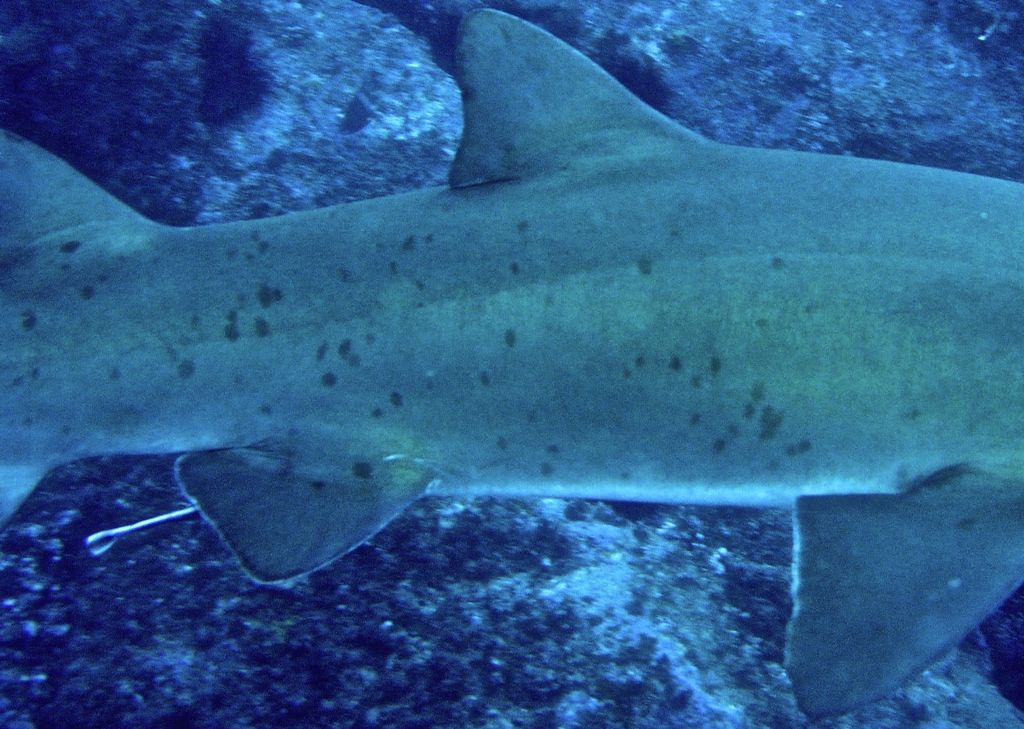 97e088d6-52d8-43a2-bb12-e136e034a29d