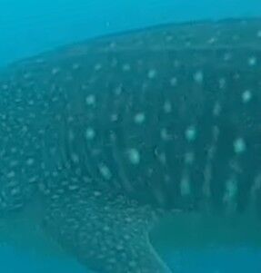 13b78b1d-a9ba-45c7-ae4f-e99e12ca69b3