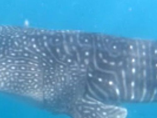 81439374-69a1-4b9b-b3c6-be3ffa743425