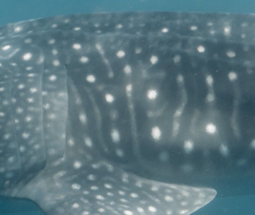 36fa390d-8401-4861-bf03-b170bdf2b6c4