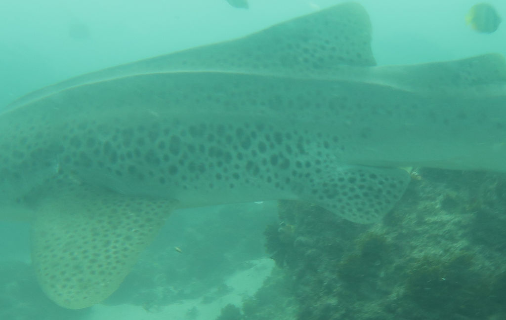 53338edd-3152-445d-b744-34728cdf7c38