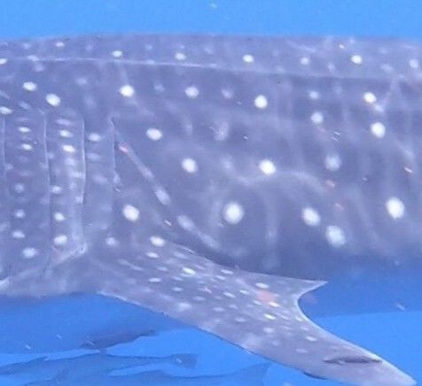 2b783502-1175-4b84-bb5c-c4704f0b29d1