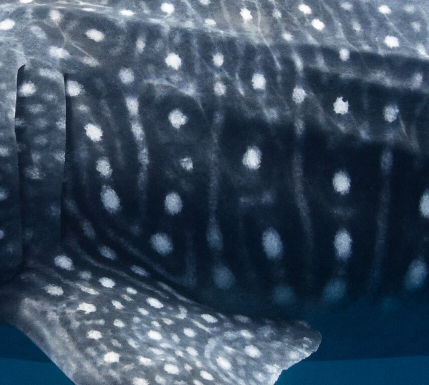 9e6f2d6e-3083-4763-8100-b3b2648e57c9