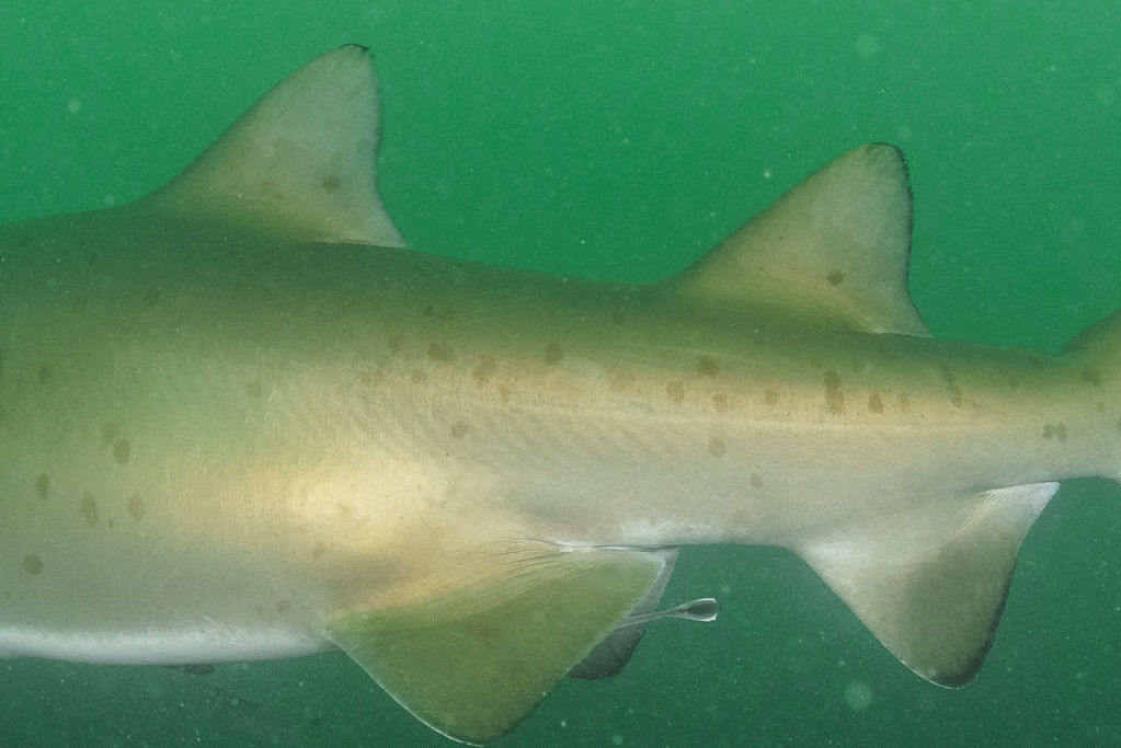 c48e6fd9-45e5-4dfd-a06c-85dcecdbe167