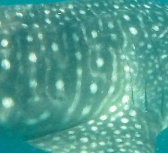 3747b1f0-627e-409c-b2d4-b4e386e658bd