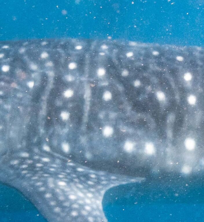 60b7a548-f5d0-4b2b-9210-1946bd47c954