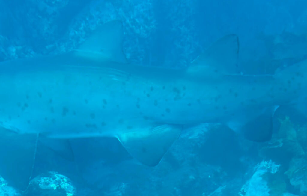 c89e8605-6eb1-4479-a16d-7058a49caa9f