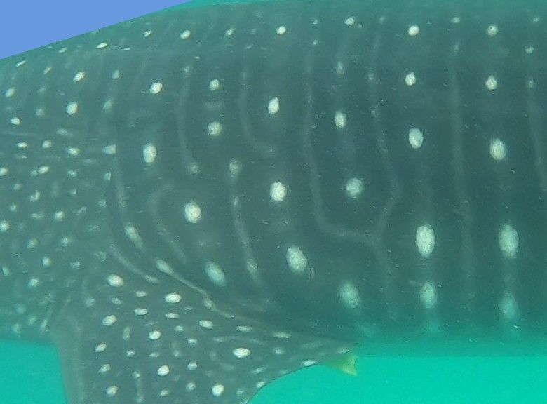 450e8760-1193-4cf2-9040-a7c7c2ff80c6