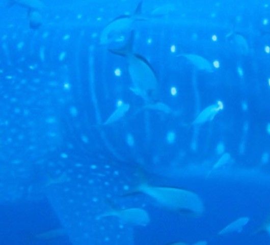 c3d142b9-2c21-4b9e-80ae-5c58afc7fa68