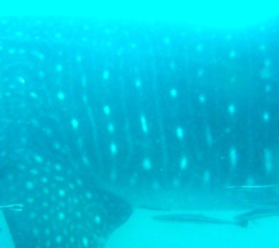 8131159e-9df1-446b-80de-1f876a9fe51a