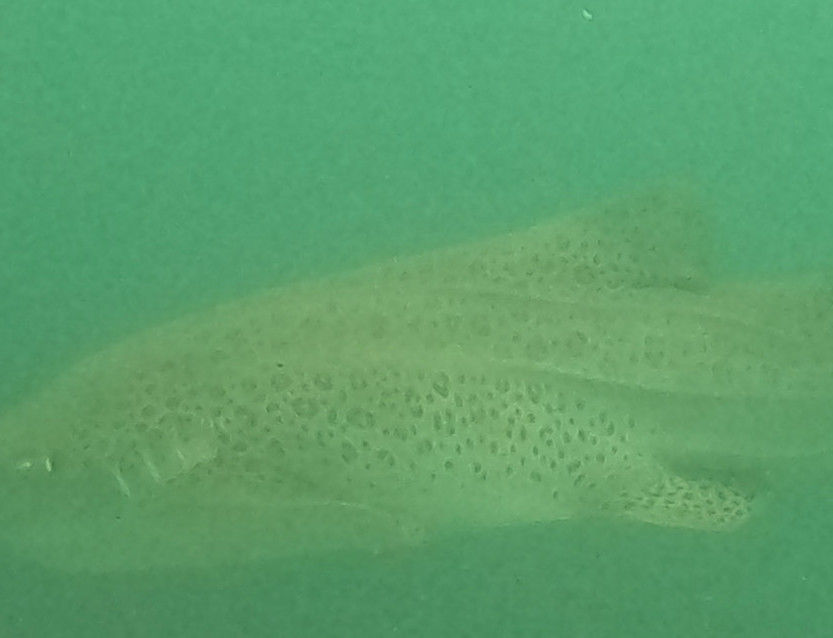 26d5be9a-1dc7-4d89-bb5e-0cb38a025eb8