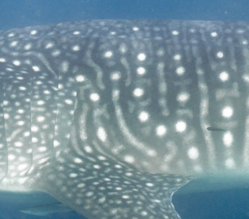 79db757f-721f-4516-9c14-2eedea3eb3cf