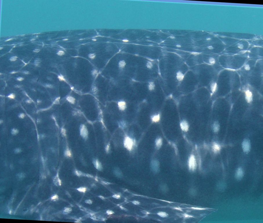 3746171d-01a0-4fa4-a8ba-346cab6d37a0