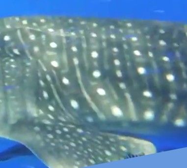 2efb191b-868f-4755-9d30-b66bfd6f68d8