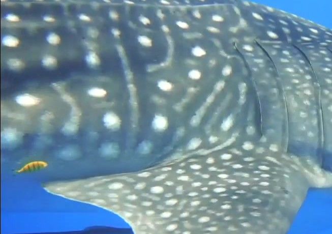 2efb191b-868f-4755-9d30-b66bfd6f68d8