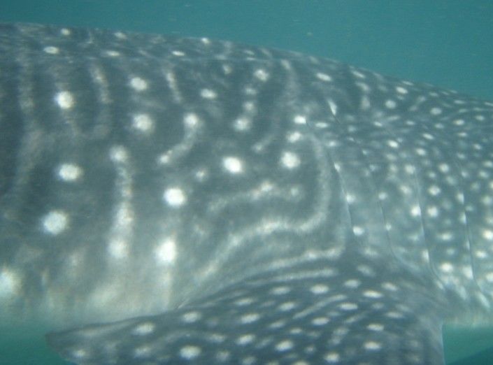 57c9b5a5-c544-42ee-9885-12e149417414