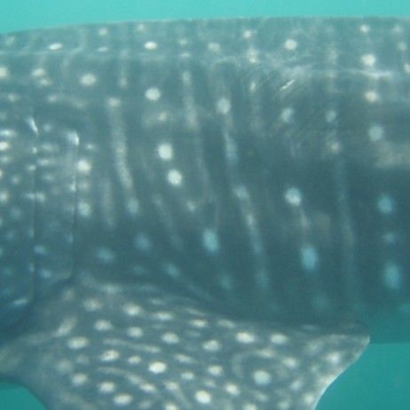 57c9b5a5-c544-42ee-9885-12e149417414