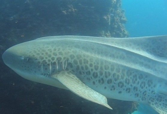 4415b99f-0809-44ba-91e7-fd5a77936008