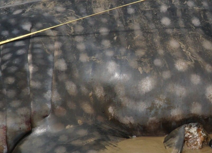 b45b2985-49bd-4ecf-921e-7fd542611037