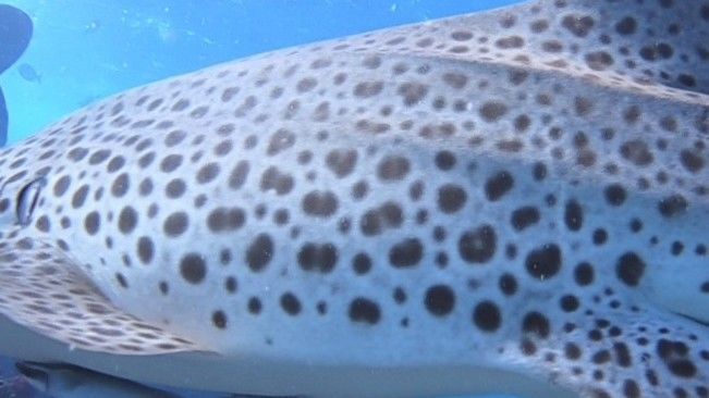 4a662c3e-2e9a-4ea6-bf25-9f0c054f7bfb