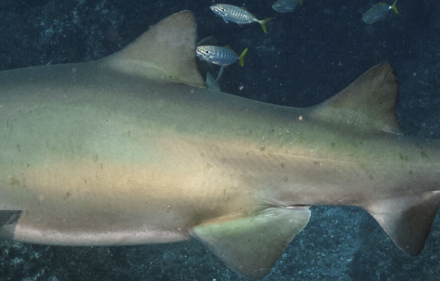 5df63dd8-f924-4ead-9b25-0cb2eca5f66e