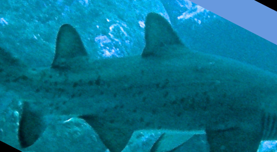 c324d474-a276-46b8-938f-36f49f2b7b1f