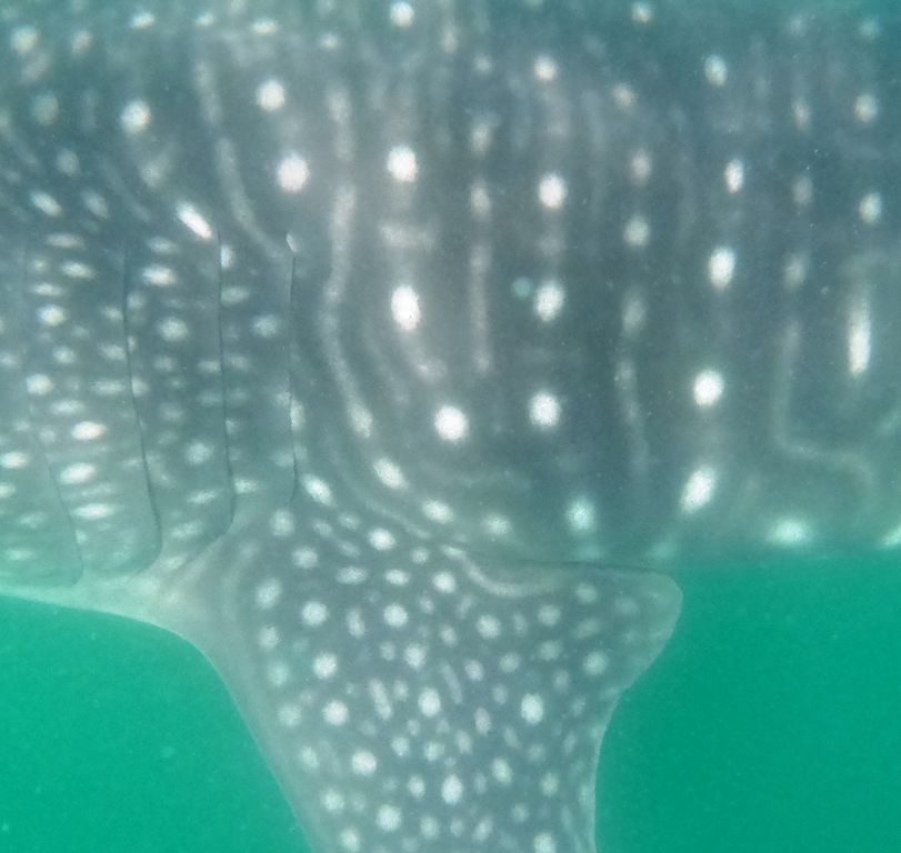 c162f29a-39cb-4ad1-a45e-6c7e630e644b