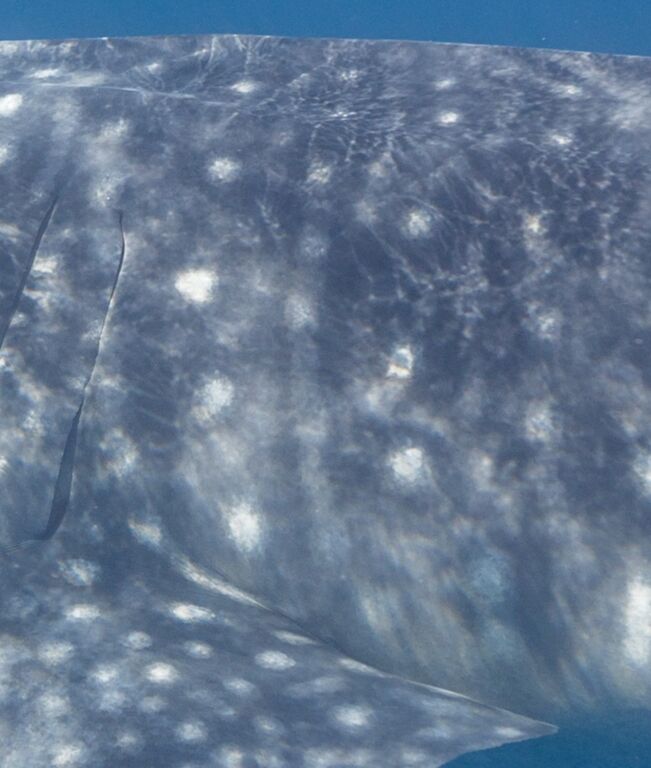 02cc0ff2-b46e-4bd4-a88b-f9077b43061f