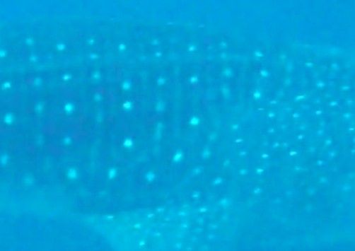 637ccb7c-f836-4cc0-b32a-9de1f1bd5416