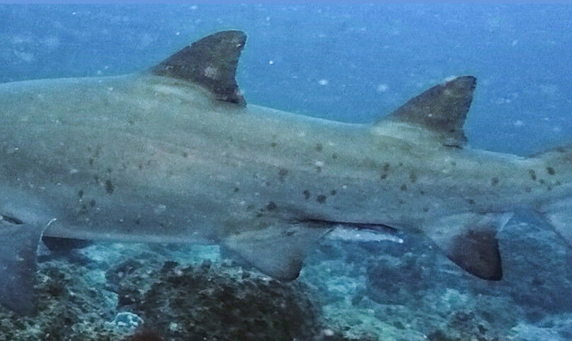 db222542-741c-4018-976c-9ca959493b25