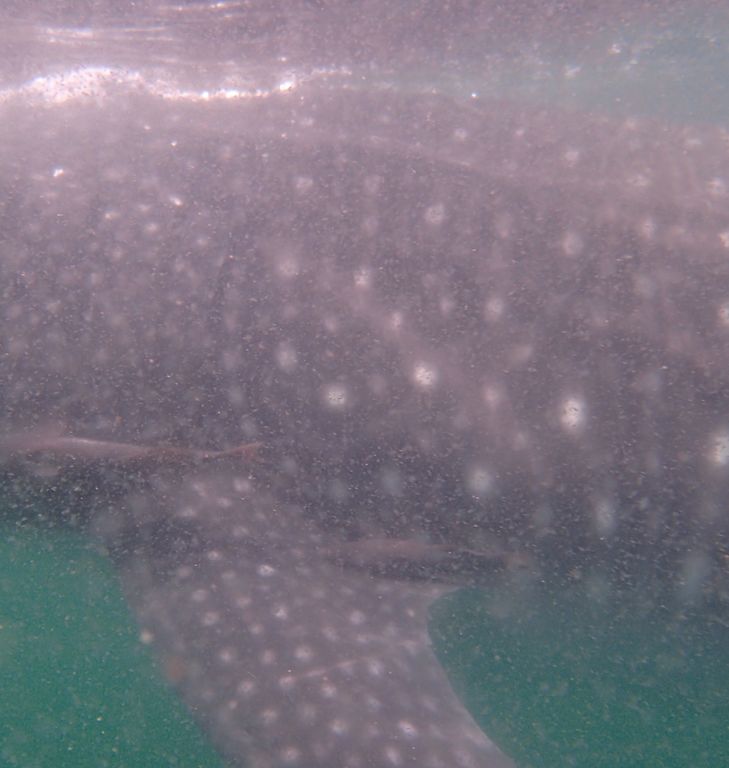 3535ba3d-2e60-46b5-a3c9-faad6ab38b31