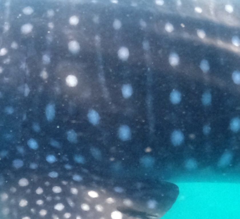 93fb803f-205b-405c-8579-8b34c1bda13d