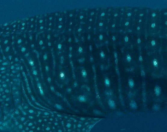 5f8163d0-1f69-4298-9bd3-a6d5a244fbe0