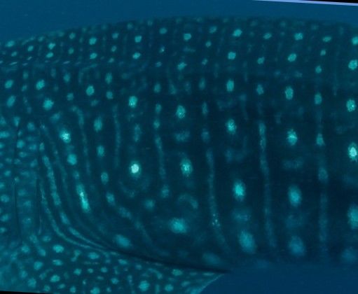 5f8163d0-1f69-4298-9bd3-a6d5a244fbe0