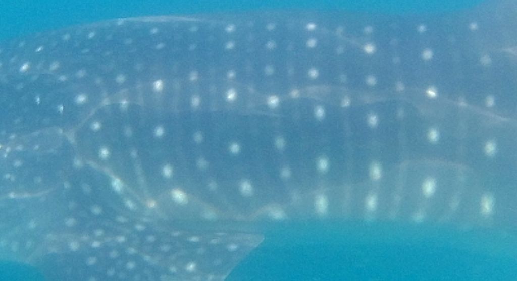 45bb42fe-4496-4839-b1c2-127d34ef4c0e