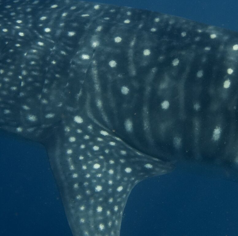 47f4c75c-4730-41ca-a30e-fb7eb998ca62