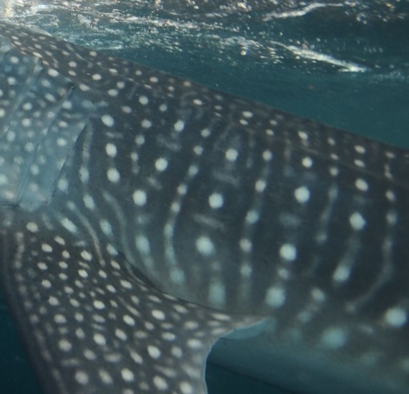 26039e08-3af8-44a8-bbc7-1918d2c6a682