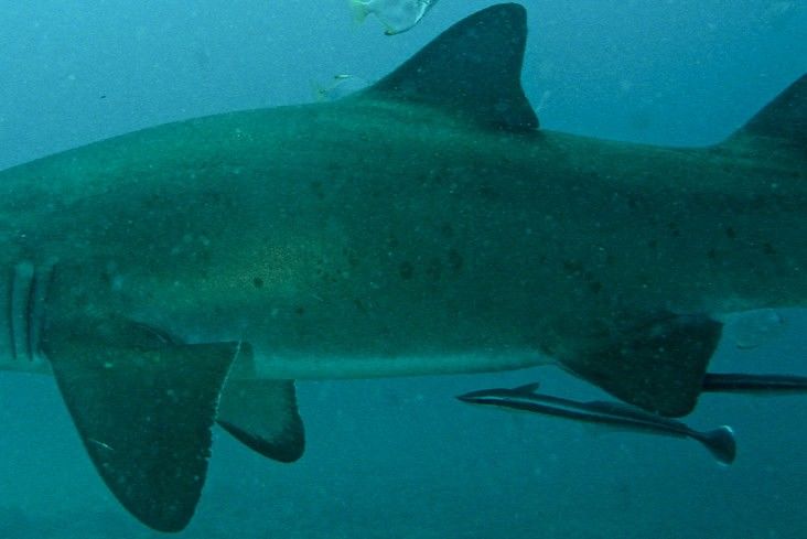 7c41c82e-8999-4e9b-9d65-81317348cbec