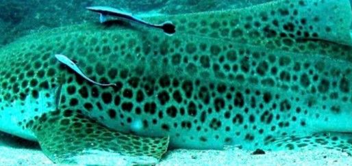 76bf3e23-759f-476e-8b48-c94661c66226