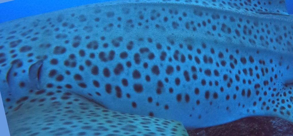 b36b7083-d3e7-41e3-99d2-d475acecd9f4