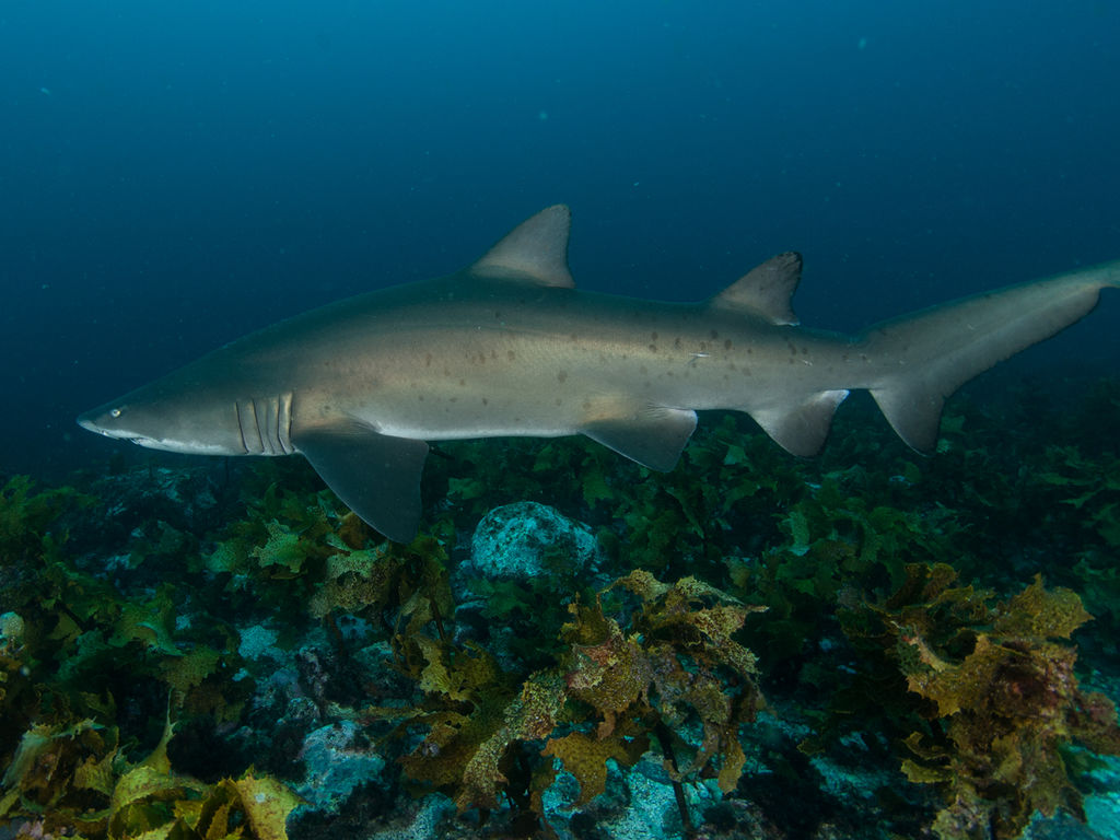 5c7073a4-5320-4d0d-a4b2-8f94baa94ad6